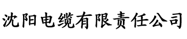 久久热大香蕉网电缆厂logo